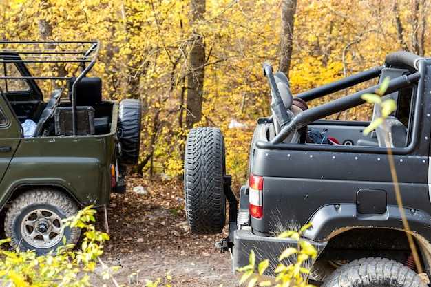 Премиум-сиденья: преимущества и недостатки