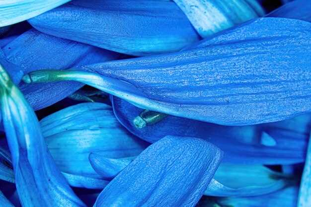 Создание ярких бордюров и цветочных композиций