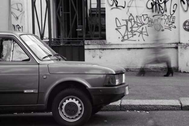 Типы Батонов: различия по материалам, форме и размерам