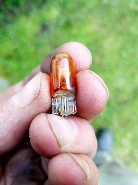 Советы по уходу и профилактике выхода из строя цоколей