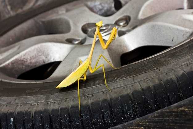 Особенности монтажа и регулировки ходовой части