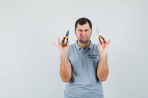 Разбор популярных моделей Волга Сайбер: плюсы и минусы