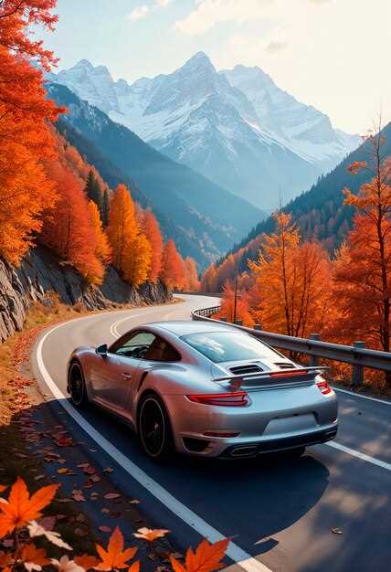 Ценовые сегменты и опции индивидуализации