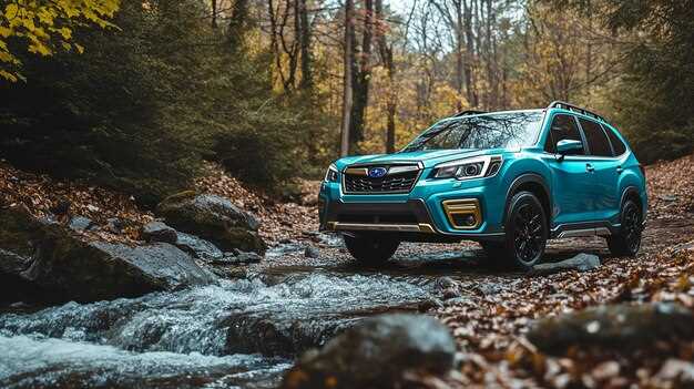 Практические особенности эксплуатации и ухода за клиренсом