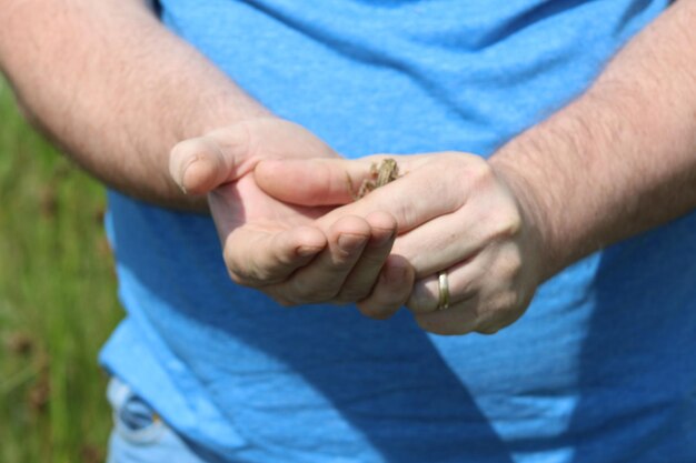 Схема подключения и монтаж: пошаговая инструкция для начинающих